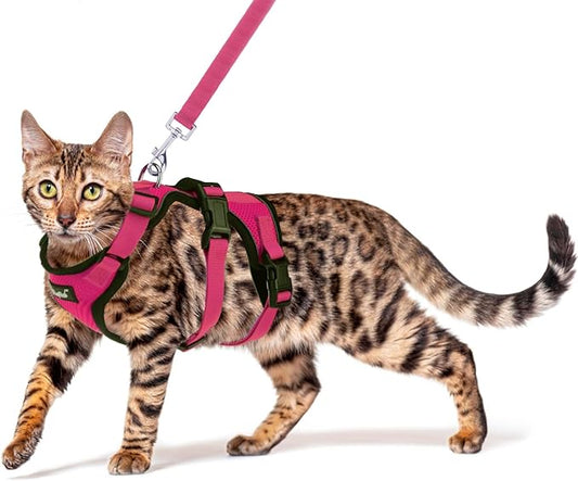 PUPTECK Cat Harness and Leash Set Escape Proof for Walking, Breathable Mash Vest Adjustable Harness for Cats Puppy Small Animals, Reflective at Night, Fuschia Small
