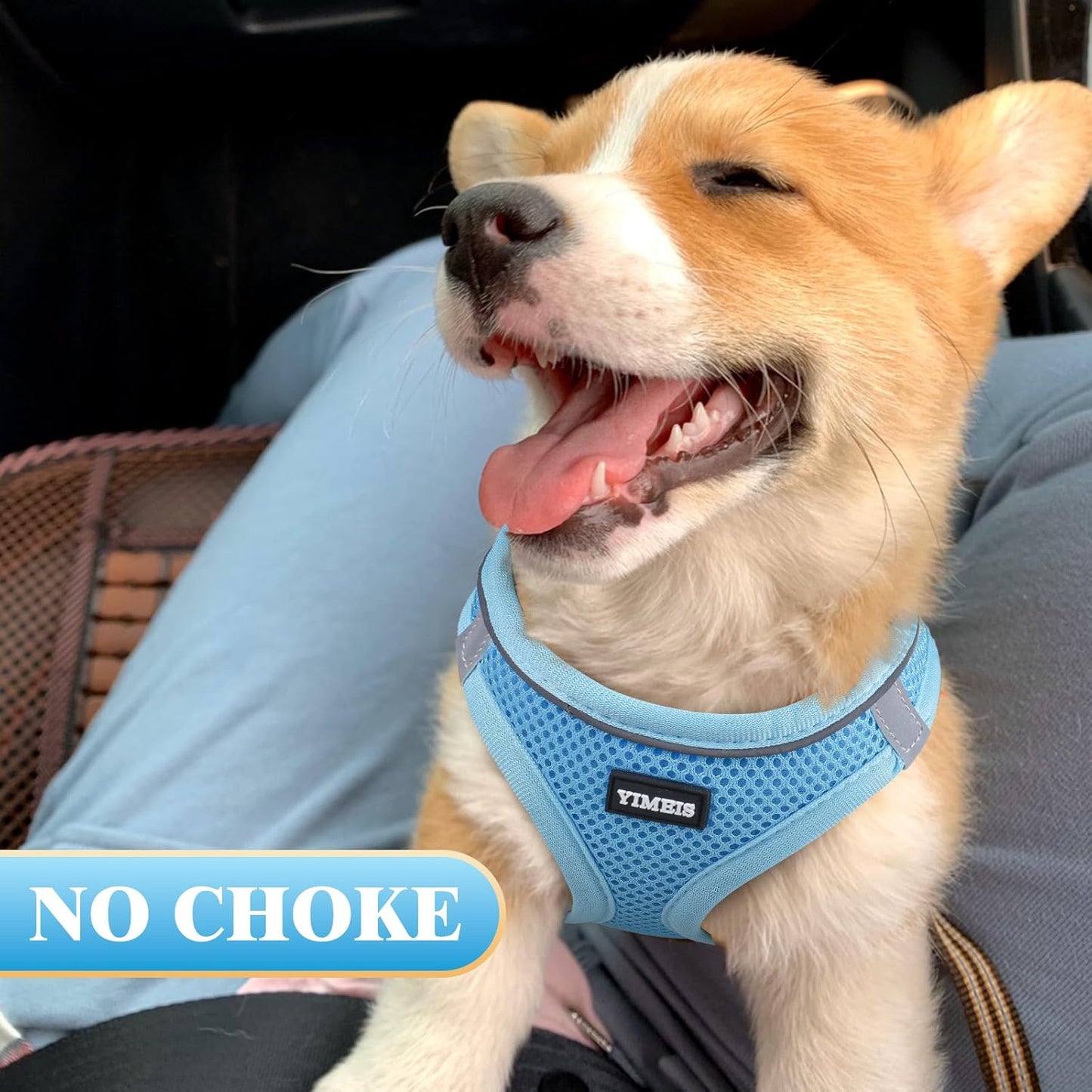 YIMEIS Dog Harness and Leash Set, No Pull Soft Mesh Pet Harness, Reflective Adjustable Puppy Vest for Small Medium Large Dogs, Cats (Sky Blue, X-Small (Pack of 1)