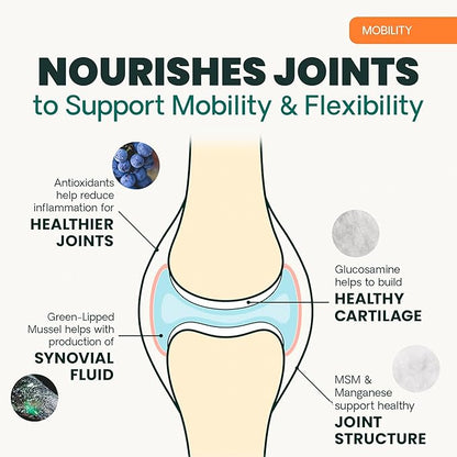 VetriScience Extra Strength Healthy Hip & Joint Chews, GlycoFlex Glucosamine and Green-Lipped Mussel Joint Support Supplement for Small Breed Dogs, Soothe Joint Discomfort, Chicken, 60 Count