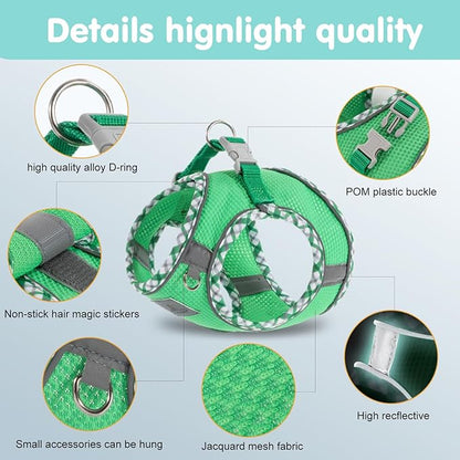 Dog Harness and Leash Set, No Pull Pet Harness for Small Dogs Easy Walking,Soft Breathable Small Dog Harness,Adjustable Reflective Step in Vest Harness for Puppy ,kitten, Cats