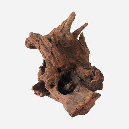 LYPHARD AQUARIUMS Natural Driftwood for Aquarium Decor, L12.6×W9.84×H13.39 Inches Large Drift Wood Decorations for Reptile Hide, Fish Tank, Optional Shapes