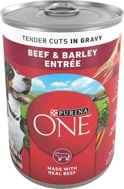 Purina ONE Natural Wet Dog Food Gravy, Tender Cuts in Gravy Beef and Barley Entrée - 13 Ounce (Pack of 12)