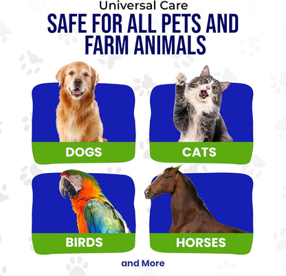 Holistic Pet Care - Colloidal Silver Spray for Dogs, Cats, Horses & Birds - 20 PPM Effective Wound Care, Hot Spot Treatment, Skin Relief & Immune Support - All-Natural Pet Silver Spray (16 Oz)