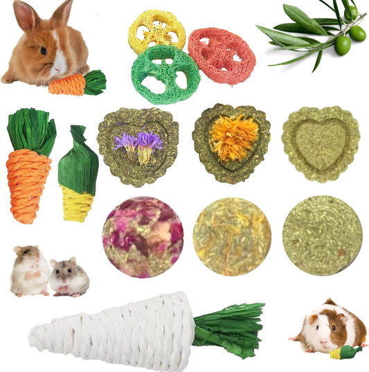 Lacrima Rabbit Bunny Guinea Pig Chew Toys 12PCS, Chew Toys and Treats for Rabbit Guinea Pig Hamster Chinchilla, Small Animal Teeth Care