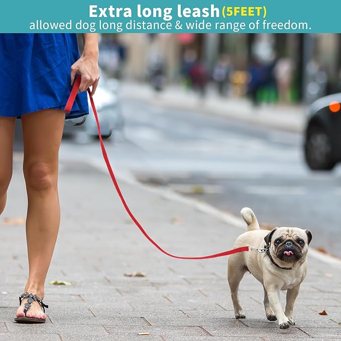 Hypeety Pet Dog Training Leash Strong Durable Nylon Lead, Traction Rope, 5 Feet Long for Puppy Kitty Rabbit Training or Walk 3 Pack Set