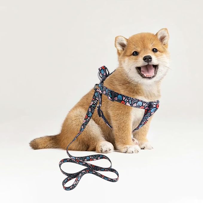 QQPETS Dog Harness Leash Set Adjustable Heavy Duty No Pull Halter Harnesses for Small Medium Large Breed Dogs Back Clip Anti-Twist Perfect for Walking