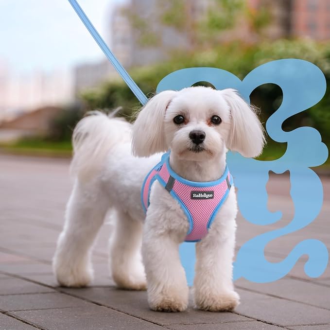 rabbitgoo Dog Harness Small Sized and Leash Set, Step-in Breathable Pet Harness, Soft Walking Reflective Puppy Vest for Small Dogs, Pink & Light Blue, M