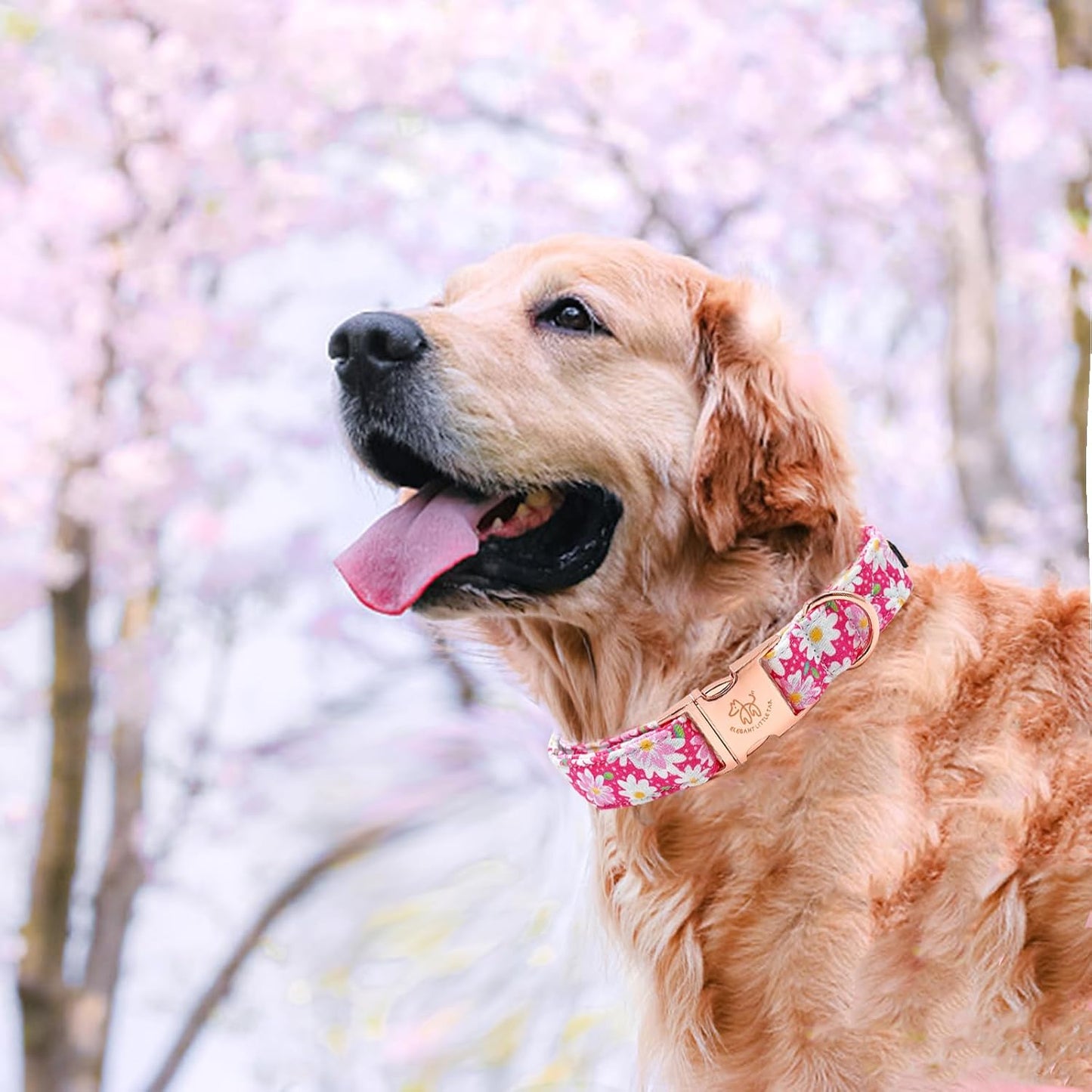 Elegant little tail Dog Collar, Pink Floral Pattern Pet Collar Durable Cute Dog Collars Summer Female Pet Gift Adjustable Dog Collar for X-Large Dogs
