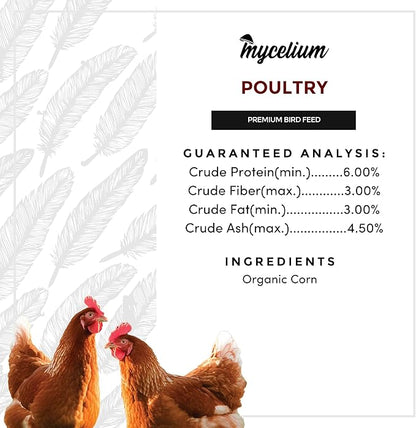 Mycelium Premium Corn – Organic, Non-GMO, High Nutritional Value Poultry Food for Chickens, Ducks & Turkeys, Sourced from Local USA Farms, Sustainable Farming, 5 lbs
