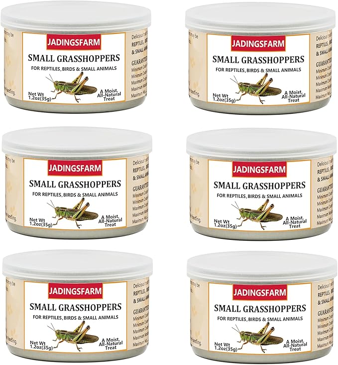 6 Pack Canned Small Grasshoppers for Reptiles, Fish, Birds and Small Animals, Grasshoppers, Healthy High Protein Treat, Bearded Dragon Food 1.2 Ounces Each