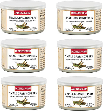 6 Pack Canned Small Grasshoppers for Reptiles, Fish, Birds and Small Animals, Grasshoppers, Healthy High Protein Treat, Bearded Dragon Food 1.2 Ounces Each