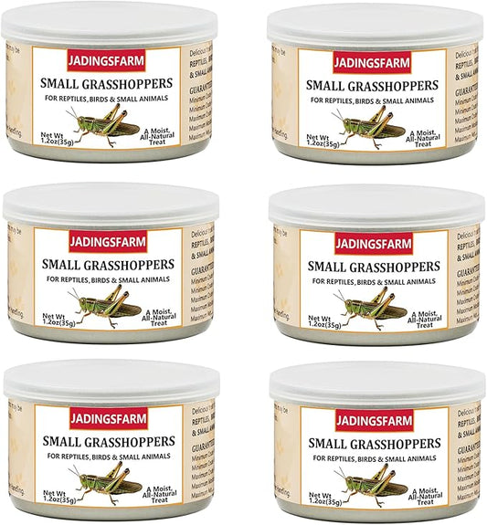 6 Pack Canned Small Grasshoppers for Reptiles, Fish, Birds and Small Animals, Grasshoppers, Healthy High Protein Treat, Bearded Dragon Food 1.2 Ounces Each