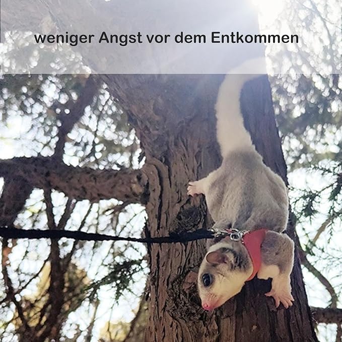 3 Pack Sugar Glider Harness and Leash Set Small Animal Training Walking Vest for Squirrel Hamster Rat-Brown