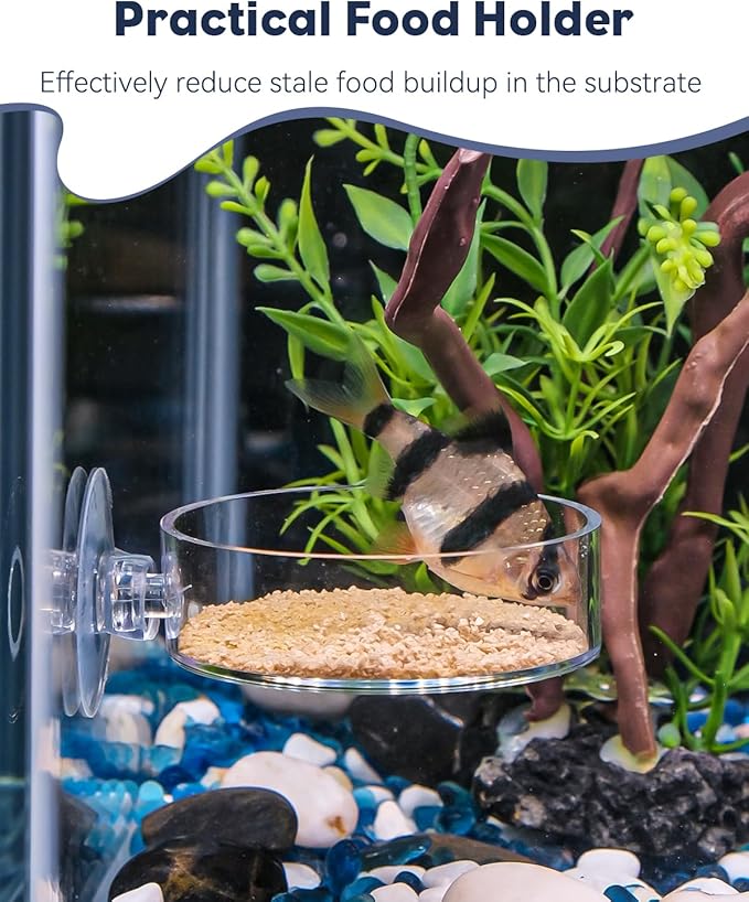 Pawfly Shrimp Feeding Dish with Suction Cup, Clear Acrylic Aquarium Shrimp Feeder Dish, Fish Feeding Tray for Freshwater and Saltwater Tanks