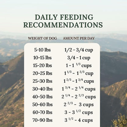 360 Pet Nutrition Freeze-Dried Raw Dog Food – Chicken Recipe with Liver & Organs, High Protein, Omega-3s, Fruits, Veggies & Superfoods, Grain-Free, No Fillers, 5 oz – Made in USA