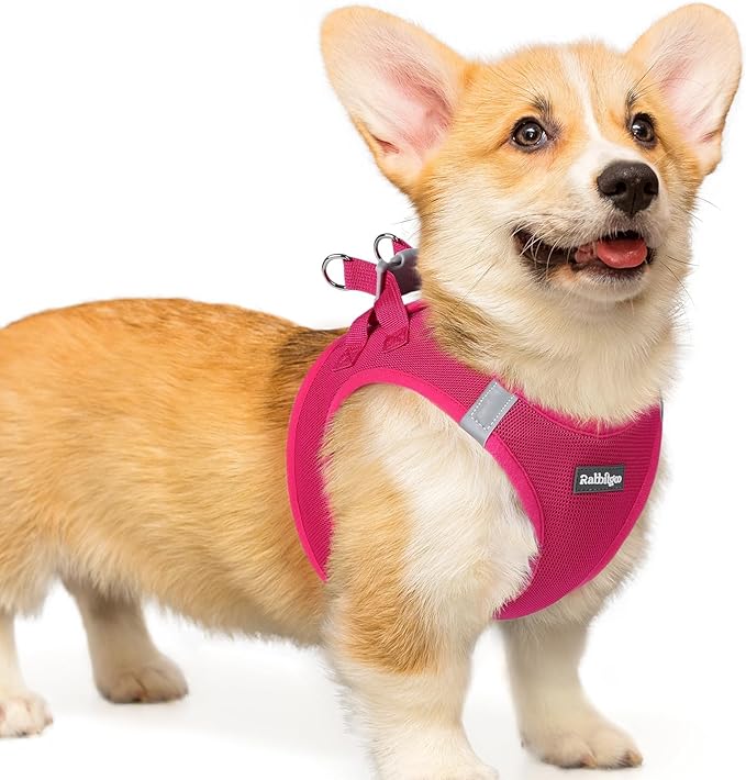 rabbitgoo Small Dog Harness, Step-in Soft Mesh Puppy Vest with Safety Buckle, Breathable Reflective Pet Harness for Small Medium Dogs, Rose Red L