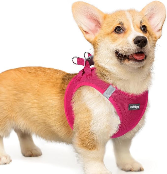 rabbitgoo Small Dog Harness, Step-in Soft Mesh Puppy Vest with Safety Buckle, Breathable Reflective Pet Harness for Small Medium Dogs, Rose Red L