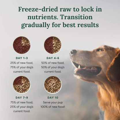 360 Pet Nutrition Freeze-Dried Raw Dog Food – Beef Recipe with Liver & Organs, High Protein with Omega-3s, Fruits, Veggies & Superfoods, Grain-Free, No Fillers, 3 lb – Made in USA