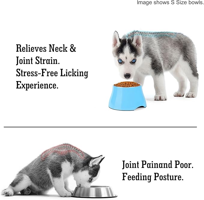 Dog Bowls,Cone Friendly Non Slip Single Dog Bowl with Stainless Steel Inner, Raised Bowls for Small Dogs Spaniel Dogs Long Ear, High Capacity, M/2 Cup Aqua Blue