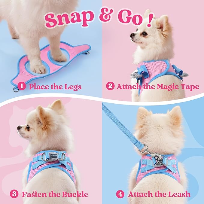 rabbitgoo Dog Harness Small Sized and Leash Set, Step-in Breathable Pet Harness, Soft Walking Reflective Puppy Vest for Small Dogs, Pink & Light Blue, S