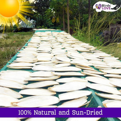 Birds LOVE Natural Cuttlebone | 100% Pure Sun-Dried Calcium Supplement for Birds, Tortoises, Snails & Crabs | Supports Beak & Shell Health | Easy to Chew | 6 Pack, Size 5.5 to 6"