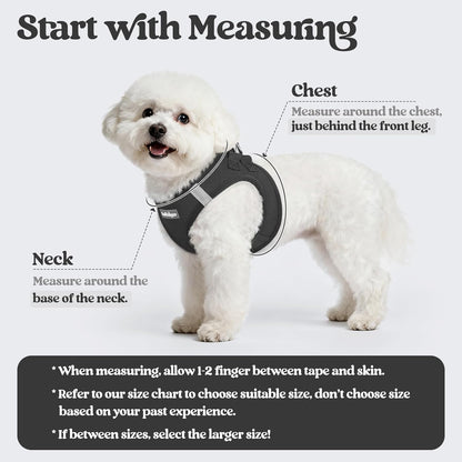 rabbitgoo Dog Harness Small Sized and Leash Set, Step in Soft Light Puppy Vest, Breathable Mesh Pet Harness, Reflective for Safe Easy Walking, Black XS