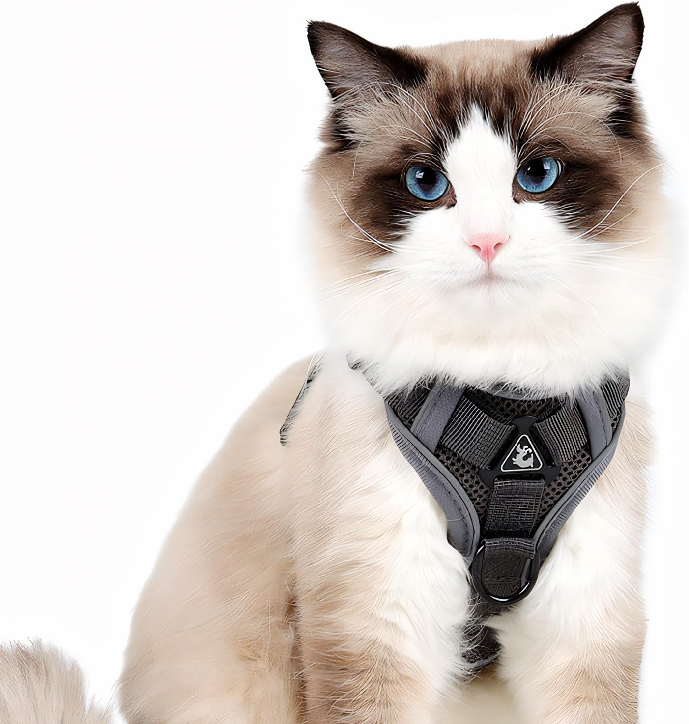 Cat Harness and Leash for Walking, Escape Proof Soft Adjustable Vest Harnesses for Cats