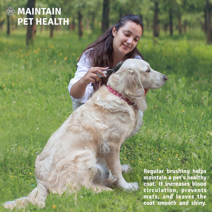 Round Bristle Pet Brush for Dogs and Cats - Soft Dog Brush for Grooming Short or Long Hair - Gentle Tool for Sensitive Skin Removes Dander, Dirt, and Detangles (Black)