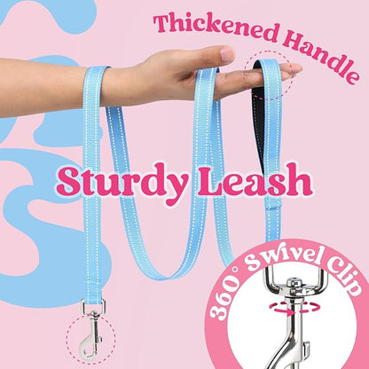 rabbitgoo Dog Harness Small Sized and Leash Set, Step-in Breathable Pet Harness, Soft Walking Reflective Puppy Vest for Small Dogs, Pink & Light Blue, L