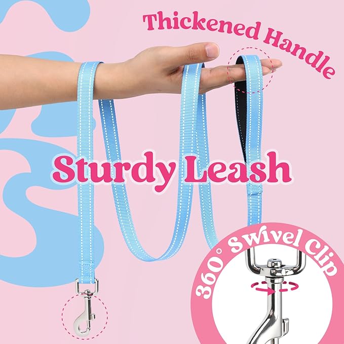 rabbitgoo Dog Harness Small Sized and Leash Set, Step-in Breathable Pet Harness, Soft Walking Reflective Puppy Vest for Small Dogs, Pink & Light Blue, XS