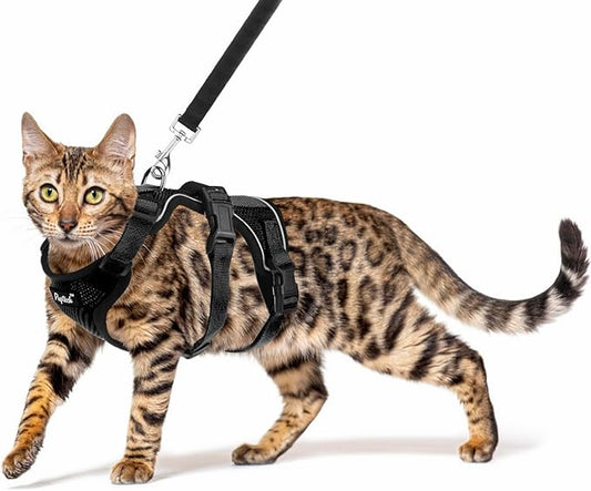 PUPTECK Cat Harness and Leash Set Escape Proof for Walking, Breathable Mash Vest Adjustable Harness for Cats Puppy Small Animals, Reflective at Night, Black Small