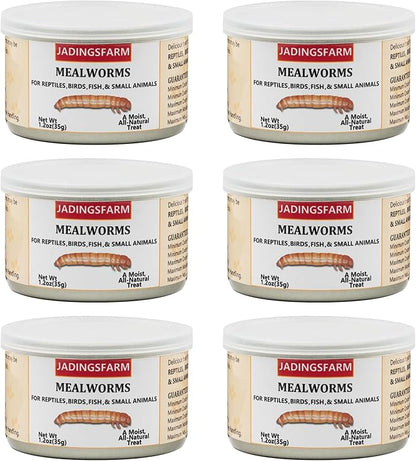 6 Pack Canned Mealworms for Reptiles, Fish, Birds and Small Animals, Meal Worms, Healthy High Protein Treat, Reptile Bird Fish Food 7.2 Ounces Total