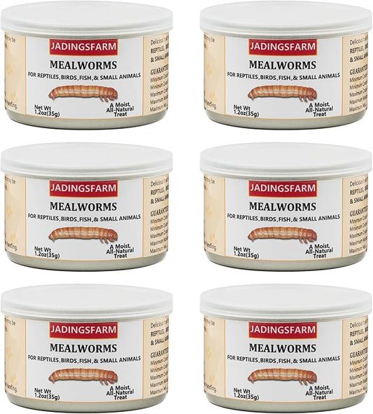 6 Pack Canned Mealworms for Reptiles, Fish, Birds and Small Animals, Meal Worms, Healthy High Protein Treat, Reptile Bird Fish Food 7.2 Ounces Total
