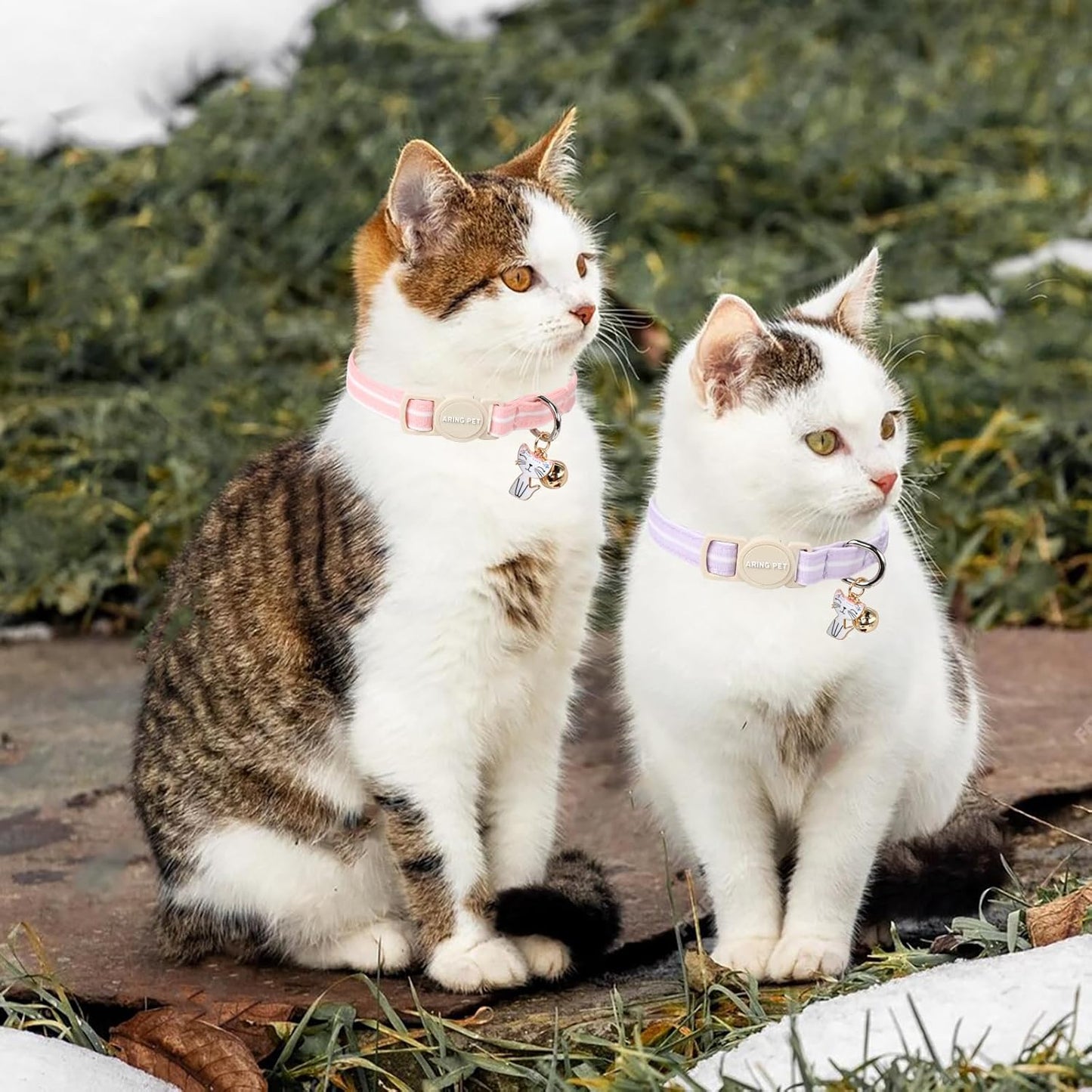 ARING PET 2 Pack Cat Collar-Cute Cotton Cat Collar with Bell & Pendant, Adjustable Pink Lavender Striped Kitten Collars with Safety Buckle for Girl and Boy Pets