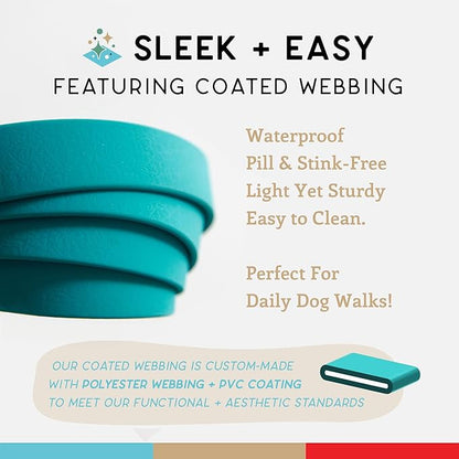 Wildebeest Funston Waterproof Dog Leash - Heavy Duty 6 ft Long Leash for Small, Medium and Large Dogs - 1000D Nylon Wrap Handle - Scratch & Stink-Resistant & Pill-Free (3/4" Wide, 6 ft Length)