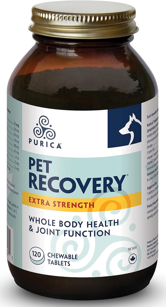 Purica Recovery Extra Strength Dog Supplement - Supports Hip and Joint Health for All Breeds - Contains Nutricol, Hyaluronic Acid, EGCG, Resveratrol - Aims to Enhance Canine Endurance and Flexibility