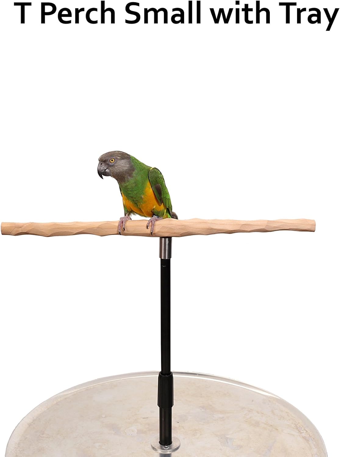 Parrot Training Perch Stand with Potty Tray (T Perch, Small)