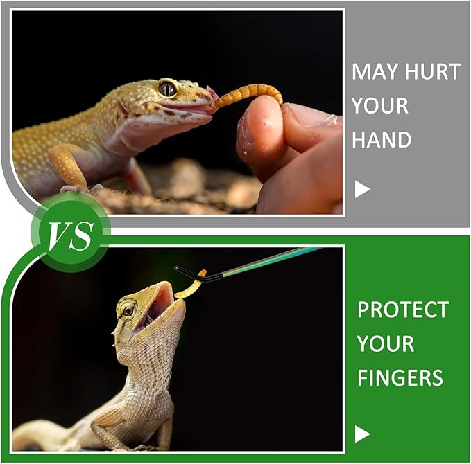 Lasnten 2 Pcs Extra Long Stainless Steel Reptile Feeding Tongs with Rubber Tip Bearded Dragon Aquarium Straight and Curved Long Tweezer Terrarium Feeder Tool for Tank(10 Inch, 10.5 Inch,Colorful)