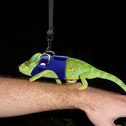 Bearded Dragon Harness and Leash Set, 3 Size Adjustable Soft Leather Reptile Leash, Lizard Harness with Retractable, Small Animal Outdoor Walking Vest with Traction Rope, 3 Pack (Blue)