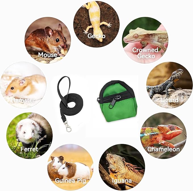 Crested Geckos Backpack Carrier,Reptile Portable Backpack Carrier with Small Backpack Harness Leash Set,Space Capsule Clear Bubble Window Travel Backpack for Lizard Travel,Guinea Pig,Bearded Dragon