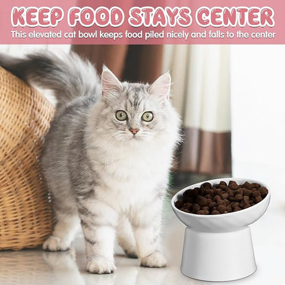 Tanlade 4 Pcs Ceramic Raised Cat Bowls, Elevated Tilted Cat Bowl, Stress Free, Backflow Prevention, Dishwasher and Microwave Safe for Indoor Kitten, Puppies(White and Pink)