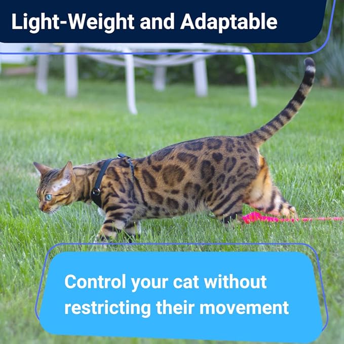 Houdini™ Escape Proof Cat Harness and Leash Set by OutdoorBengal for Walking Cats and Kittens (Vegan Leather, Kitten)