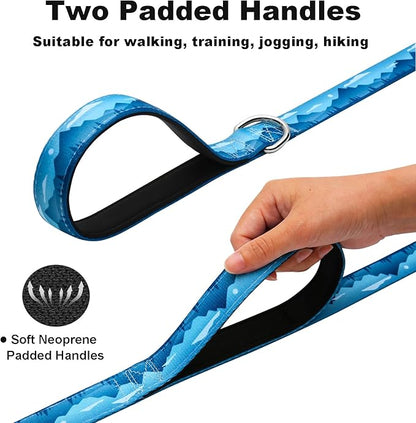 5ft Dog Leash with Two Padded Handles, Heavy Duty Strong Nylon Pet Leash with Soft Neoprene Handle for Small Medium Large Dogs, Blue Sunset