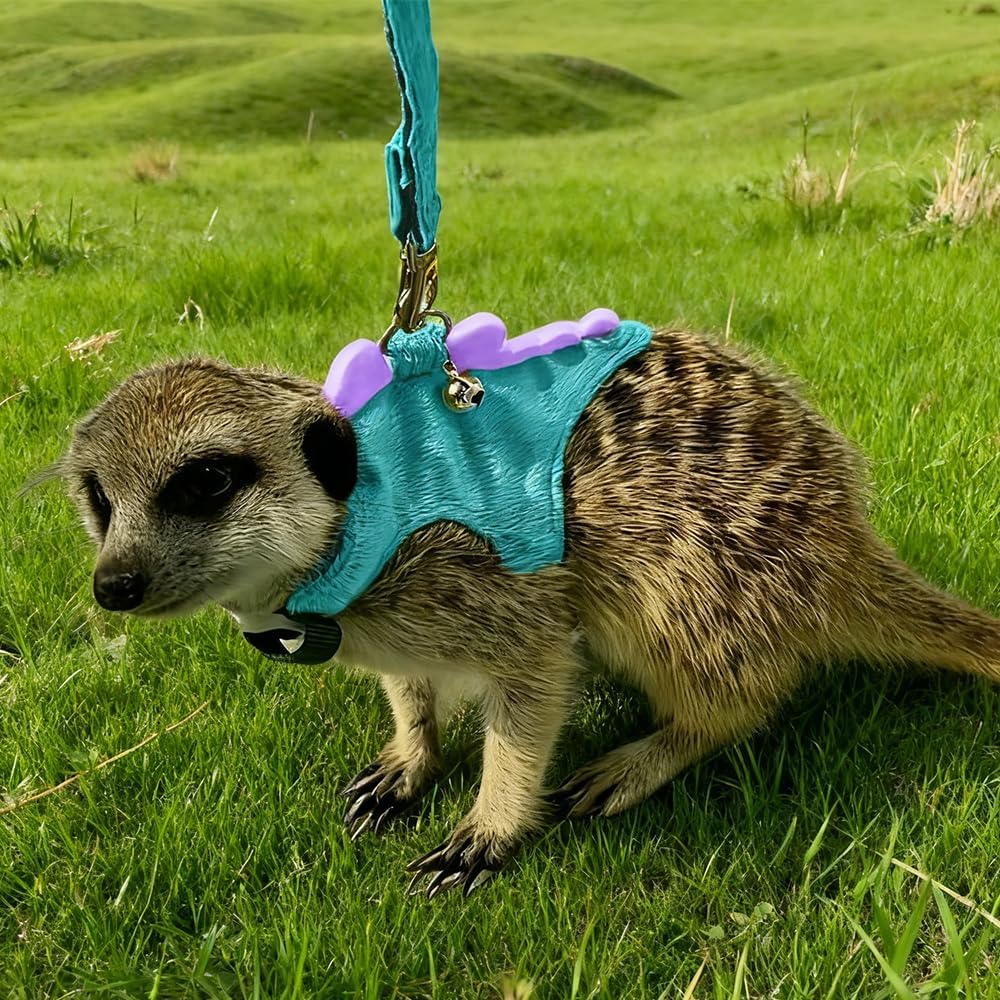 Ferret Leash and Harness Set, Dinosaur Design Small Animal Harness with Leash, Adjustable & Escape-Proof, Soft Plush Comfort for Rabbits, Kitten, Bunny, Hedgehog (Blue)
