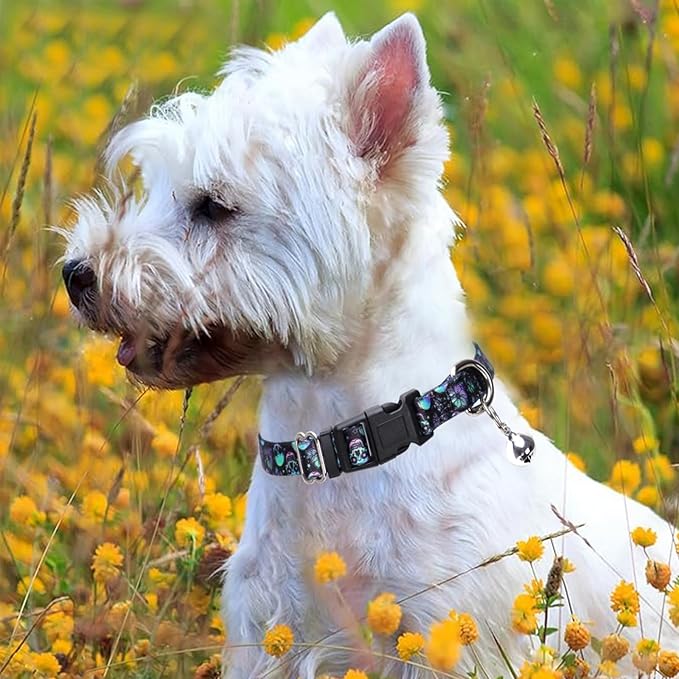 Skull Dog Collar with Bell, Pretty Cool Boy Cat Collar Tiny Puppy Collars with Bells for Xs Small Pet Male Dogs Kitten Little Animal, XSmall