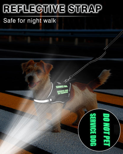 Service Dog Vest Harness and Leash Set+10 Patches for Puppy Small Dogs,Do Not Pet Emotional Support Dog Vest with 2 Soft Padded Handle for Everyday/Training (Black XS)