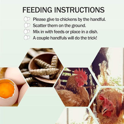 Amzey 11 LBS Dried Black Soldier Fly Larva - 100% Natural BSF Larvae - 85X More Calcium Than Mealworms - High Calcium Treats for Chickens, Birds, Reptiles, Hedgehog, Geckos, Turtles