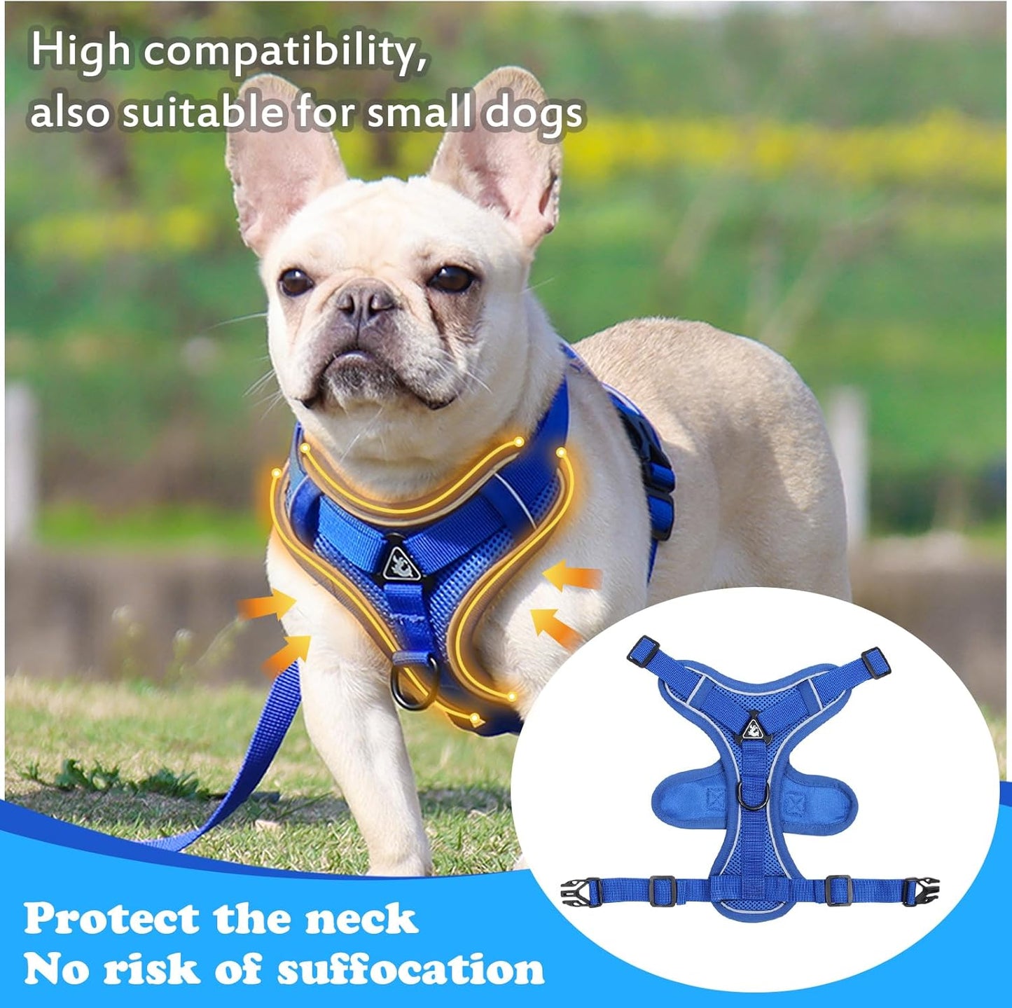 Large Cat Harness and Leash Set for Walking - Escape Proof Adjustable Vest, Reflective Breathable Mesh with 4 Buckles for Big Cats
