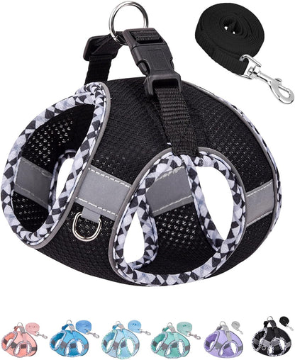 Petank Dog Harness for Small Medium Dogs No Pull, Puppy Harness and Leash Set, Step in Dog Harness for Walking, Running, Training, Small Dog Vest(Black, XS)