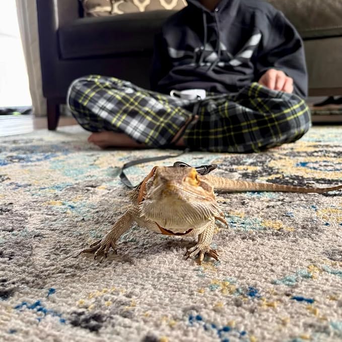 3 Pack Bearded Dragon Harness Leash Set Adjustable Soft Suede Leather Vest Harness with Retractable Leash, Small Animal Outdoor Walking Vest with Traction Rope